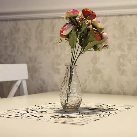 アパート Mila - A Stylish Near Airport *